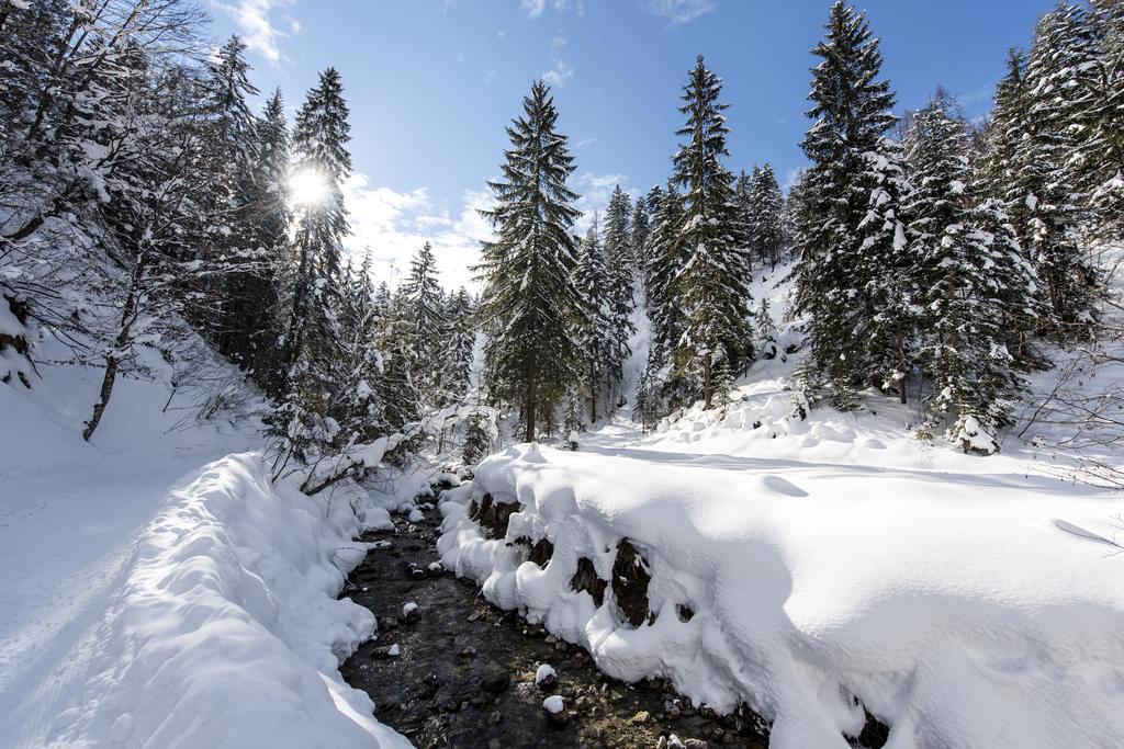 Alpenappartement Europa Sankt Johann in Tirol Exterior foto